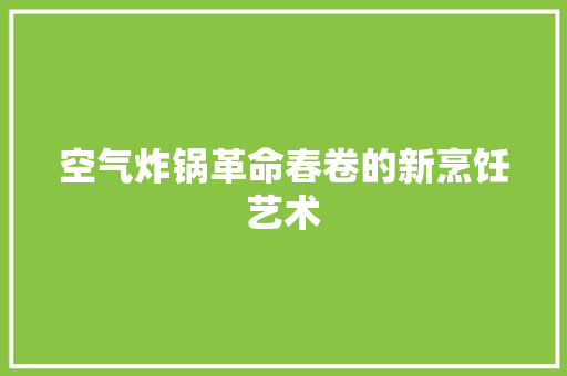 空气炸锅革命春卷的新烹饪艺术 龙头管件