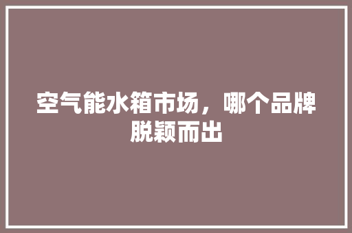 空气能水箱市场，哪个品牌脱颖而出 灯具安装