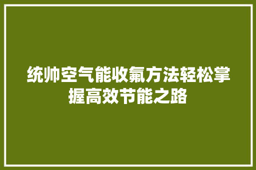 统帅空气能收氟方法轻松掌握高效节能之路 局部翻新