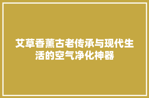艾草香薰古老传承与现代生活的空气净化神器 空调