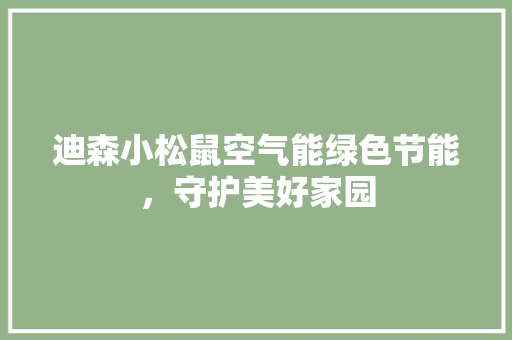 迪森小松鼠空气能绿色节能，守护美好家园 家电维护