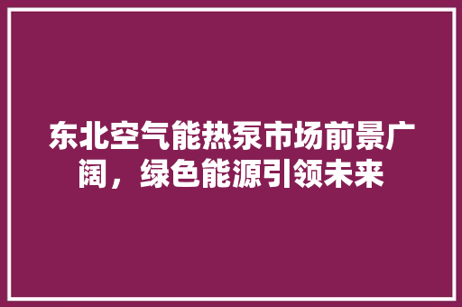 东北空气能热泵市场前景广阔，绿色能源引领未来 家居维修