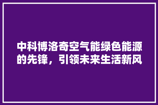 中科博洛奇空气能绿色能源的先锋，引领未来生活新风尚 灯具安装