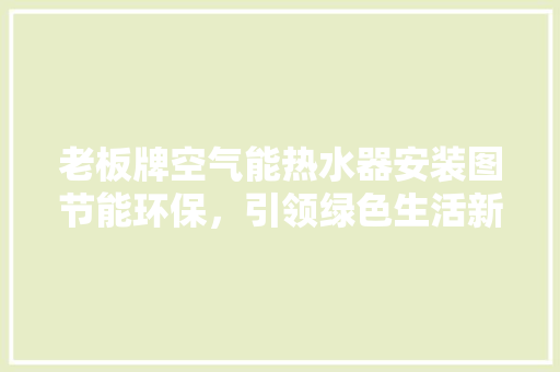 老板牌空气能热水器安装图节能环保，引领绿色生活新潮流 翻新改色