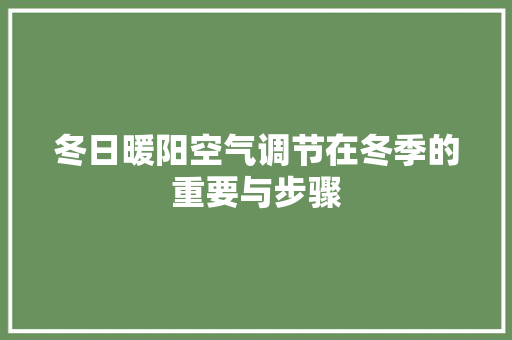 冬日暖阳空气调节在冬季的重要与步骤 贴膜
