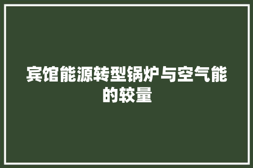 宾馆能源转型锅炉与空气能的较量 灯具安装
