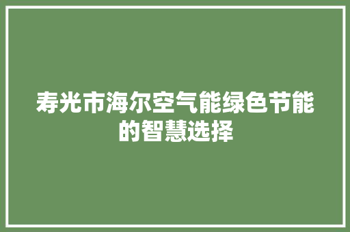寿光市海尔空气能绿色节能的智慧选择 空调