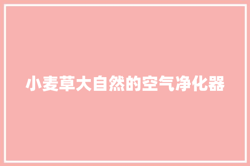 小麦草大自然的空气净化器 洁具维修