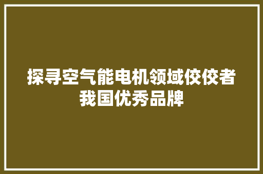 探寻空气能电机领域佼佼者我国优秀品牌 旧房改造