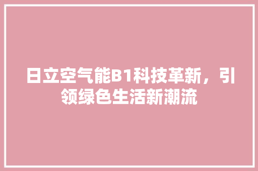 日立空气能B1科技革新，引领绿色生活新潮流 清洁保养