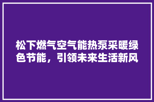 松下燃气空气能热泵采暖绿色节能，引领未来生活新风尚 局部翻新