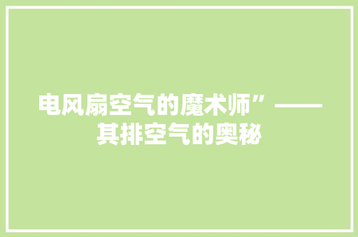 电风扇空气的魔术师”——其排空气的奥秘 贴膜 电风扇空气的魔术师”——其排空气的奥秘 贴膜