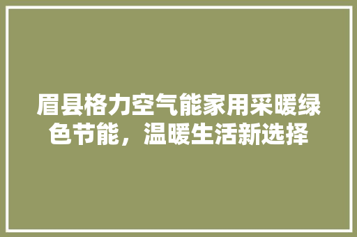 眉县格力空气能家用采暖绿色节能，温暖生活新选择 灯具安装