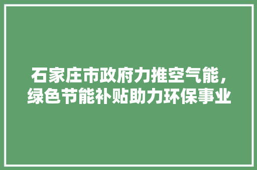 石家庄市政府力推空气能，绿色节能补贴助力环保事业 家电维护