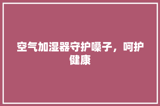 空气加湿器守护嗓子，呵护健康 热水器