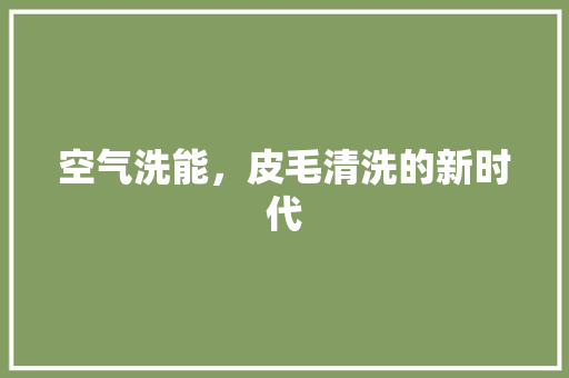 空气洗能，皮毛清洗的新时代 龙头管件