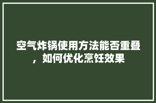 空气炸锅使用方法能否重叠，如何优化烹饪效果 洗衣机