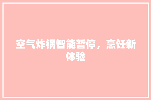 空气炸锅智能暂停，烹饪新体验 龙头管件