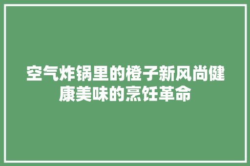 空气炸锅里的橙子新风尚健康美味的烹饪革命 洁具维修
