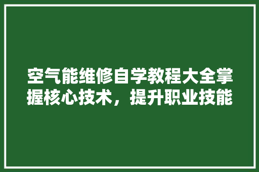空气能维修自学教程大全掌握核心技术，提升职业技能 水电维修