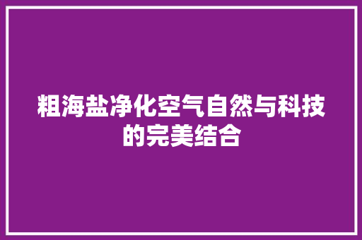 粗海盐净化空气自然与科技的完美结合 清洁保养