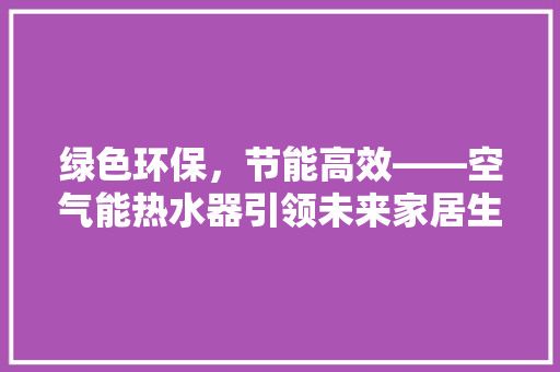 绿色环保，节能高效——空气能热水器引领未来家居生活新潮流 热水器