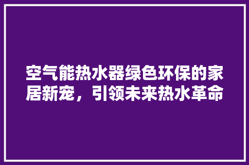 空气能热水器绿色环保的家居新宠，引领未来热水革命 空调