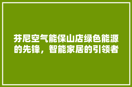 芬尼空气能保山店绿色能源的先锋，智能家居的引领者 翻新改色