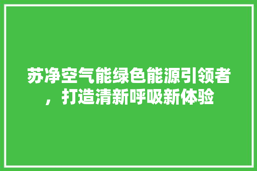 苏净空气能绿色能源引领者，打造清新呼吸新体验 灯具安装