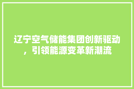 辽宁空气储能集团创新驱动，引领能源变革新潮流 家电维护