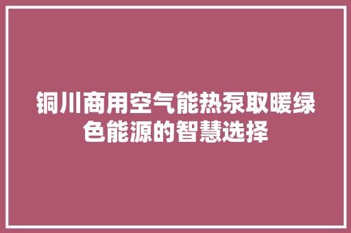 铜川商用空气能热泵取暖绿色能源的智慧选择 热水器