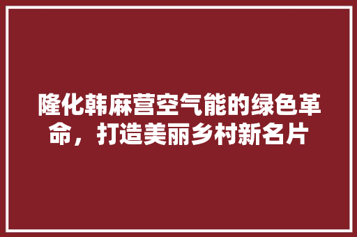 隆化韩麻营空气能的绿色革命，打造美丽乡村新名片 冰箱