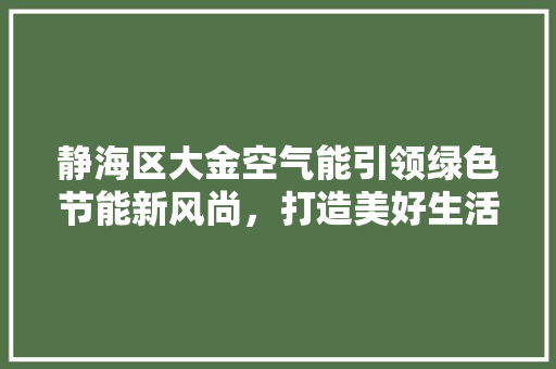 静海区大金空气能引领绿色节能新风尚，打造美好生活新标杆 装修设计
