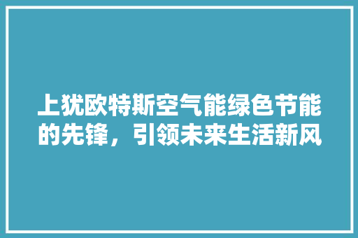 上犹欧特斯空气能绿色节能的先锋，引领未来生活新风尚 局部翻新