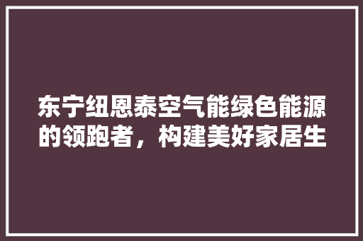 东宁纽恩泰空气能绿色能源的领跑者，构建美好家居生活 家电维护