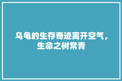 乌龟的生存奇迹离开空气，生命之树常青 家电维护
