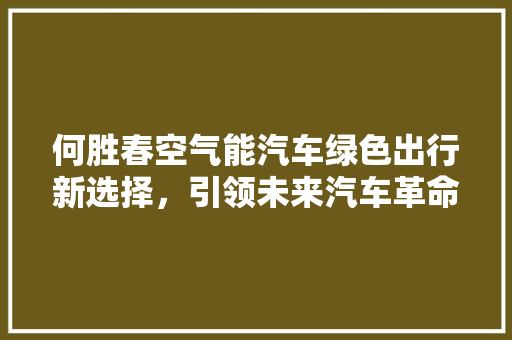 何胜春空气能汽车绿色出行新选择，引领未来汽车革命 翻新改色