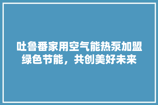 吐鲁番家用空气能热泵加盟绿色节能，共创美好未来 旧房改造
