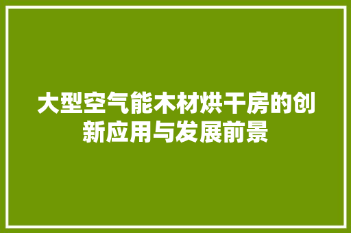大型空气能木材烘干房的创新应用与发展前景 局部翻新