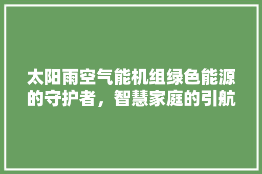太阳雨空气能机组绿色能源的守护者，智慧家庭的引航者 家居维修
