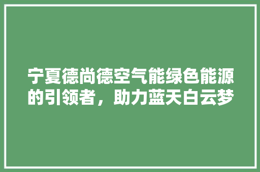 宁夏德尚德空气能绿色能源的引领者，助力蓝天白云梦 灯具安装