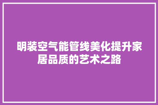 明装空气能管线美化提升家居品质的艺术之路 水电维修