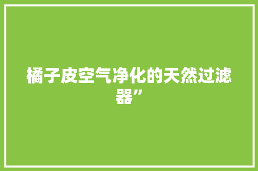 橘子皮空气净化的天然过滤器” 清洁保养