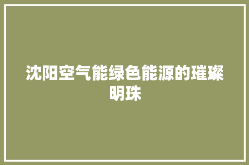 沈阳空气能绿色能源的璀璨明珠 家电维护