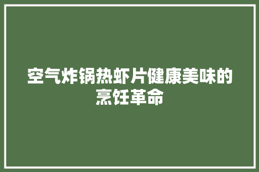 空气炸锅热虾片健康美味的烹饪革命 热水器