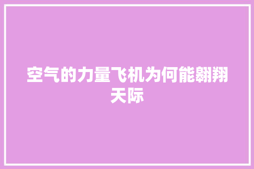 空气的力量飞机为何能翱翔天际 家具修理