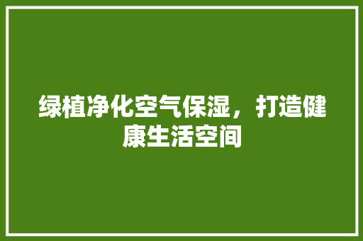 绿植净化空气保湿，打造健康生活空间 洗衣机