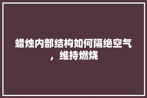 蜡烛内部结构如何隔绝空气，维持燃烧 洗衣机