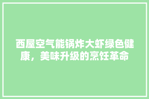 西屋空气能锅炸大虾绿色健康，美味升级的烹饪革命 家电维护