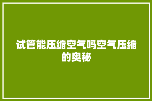试管能压缩空气吗空气压缩的奥秘 贴膜